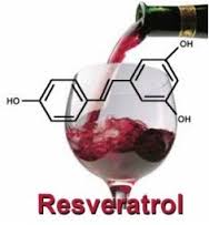 El vino y la salud. Resveratrol.