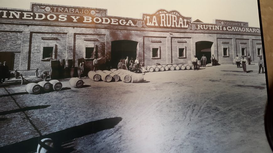 Museo del vino La Rural @RutiniWines
